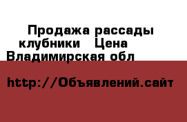 Продажа рассады клубники › Цена ­ 20 - Владимирская обл.  »    
